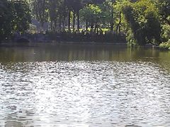 -暨南大学（石牌校区）明湖楼