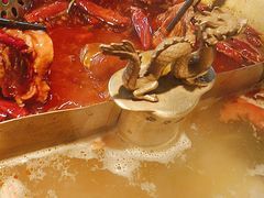 -小龙翻大江文化火锅(宽窄店)