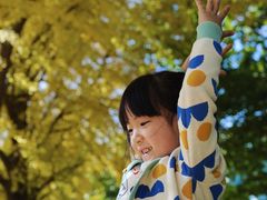 -三里屯东五街银杏大道