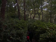 -南山风景名胜区