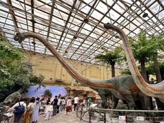 -国家自然博物馆