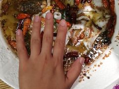 大盘酸菜鲈鱼-九毛九西北菜(大东海店)