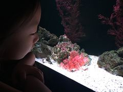 -暹罗海洋世界