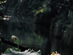-成都市文化公园