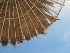 -北海金海湾红树林生态旅游区