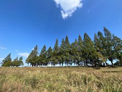 -良渚古城遗址公园