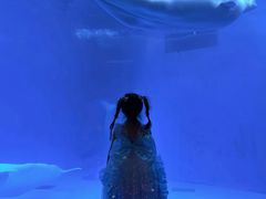 -海合安成都极地海洋公园