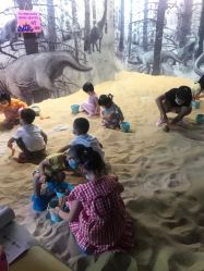 -恐龙探索乐园(磁器口店)