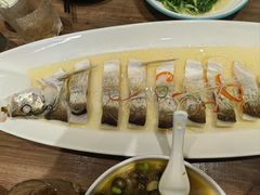 清蒸鲜白鱼-锡和无锡菜(景丽苑店)