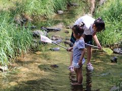 -碓臼峪自然风景区