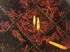 -独雅老火锅(原宏声巷店)