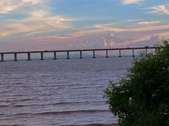 -宝安西湾红树林湿地公园