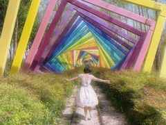 -合肥滨湖国家森林公园