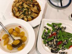 山粉圆-新楚记
