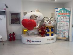 -喜多萌中农锦绣动物医院24H·猫科·牙科MRI·CT
