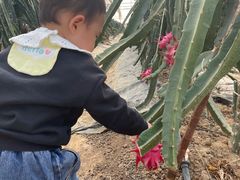 -南京市无想山景区