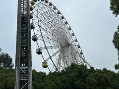 -温州乐园