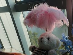 -桃花江餐厅·江景-约会·聚会