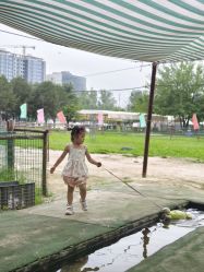 -上美四季动物农场
