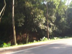 -火炉山森林公园