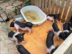 -HERRE·FARM 赫尔露营农场·团建聚会包场