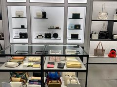 -Charles & Keith(大运河购物中心店)