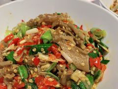 -壹盏灯(惠农店)