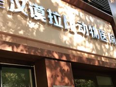 -宠颐生汉谟拉比宠物医院