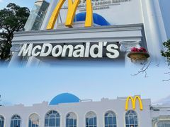 -风云岭森林公园