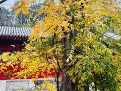 -承恩寺