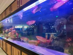 -弘安丽水温泉酒店