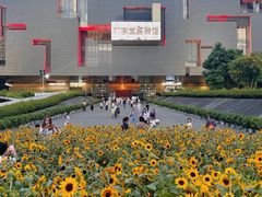 -广东省博物馆