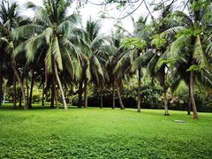 -白沙门生态公园