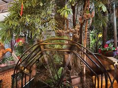 -园林美食城·本土农家菜(杨和镇店)