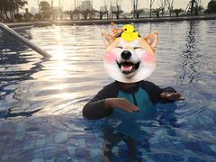 -上海滴水湖皇冠假日酒店