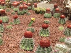 -南通洲际绿博园