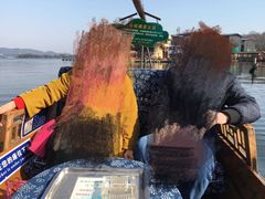 -西湖外事游船(花港观鱼码头)