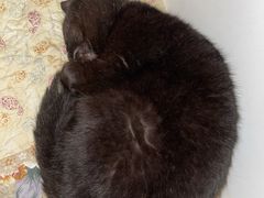 -觅KTV(岳峰大厦店)