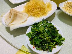 -丁老爷子苏香圆