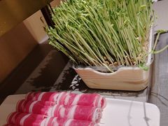 -海底捞火锅(正大乐城店)