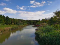 -上海长兴岛郊野公园