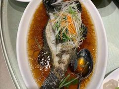 葱姜石斑鱼-三凤酒家·百年无锡菜(清扬茂业店)