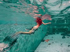 -上海潜殿潜水中心