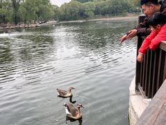 -石家庄市动物园