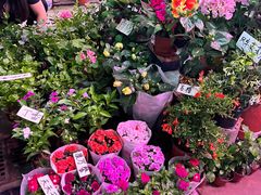 -花鸟鱼虫鲜花绿植市场(玉泉路店)