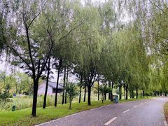 -贡湖湾湿地公园