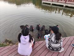 -河北省园博园