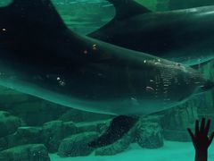 -波塞冬旅游度假区