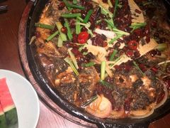 -老板恋上鱼(高新万达店)