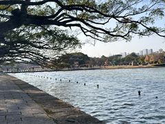 -江心屿景区